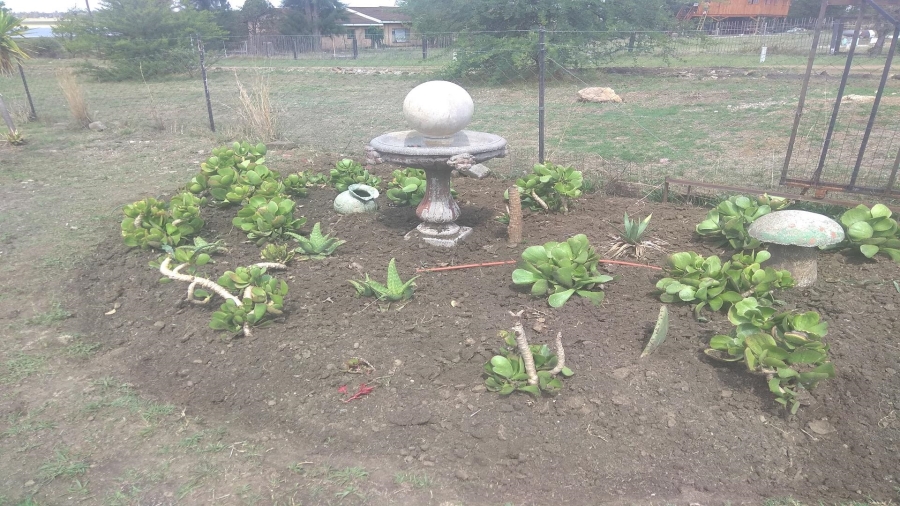 0 Bedroom Property for Sale in Oranjeville Free State